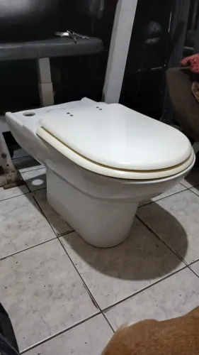 Vaso sanitário grande 