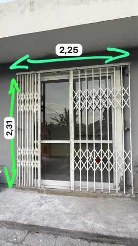 Pantográfica 
