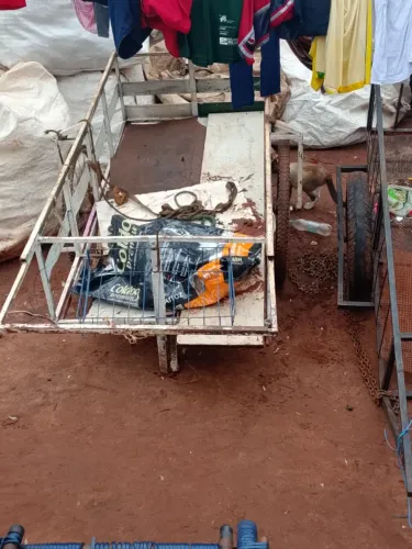 Carrinho para reciclagem