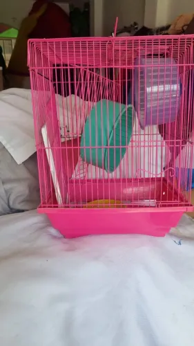 ? Gaiola de Ramster (Hamster)