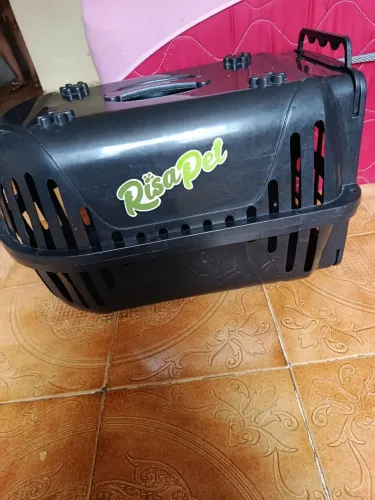 Caixa transportadora