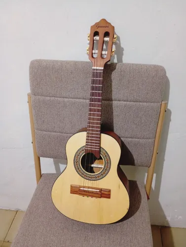 Cavaco Giannini raiz
