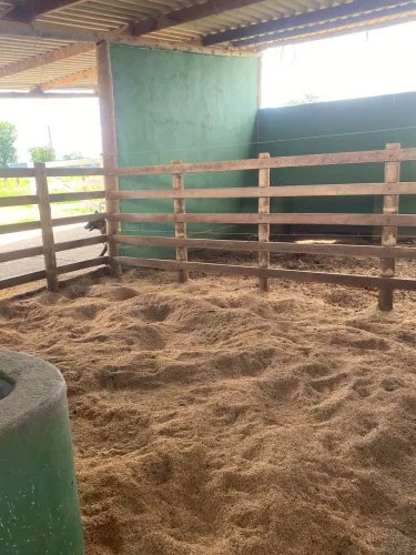 Aluguel de baias para cavalo