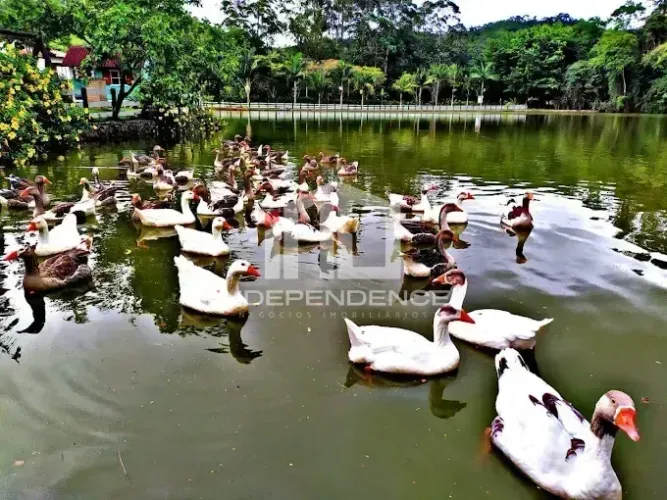 Terreno à venda | R$ 330.000 | Tapanhão | Jambeiro, SP
