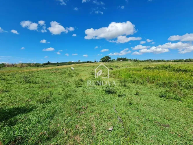 Fazenda de 52 Alqueires em Araruama Ideal para Pecuária e Empreendimento Imobiliário