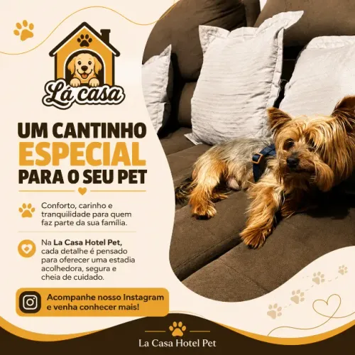 Taxi Dog - Hotel para Pet