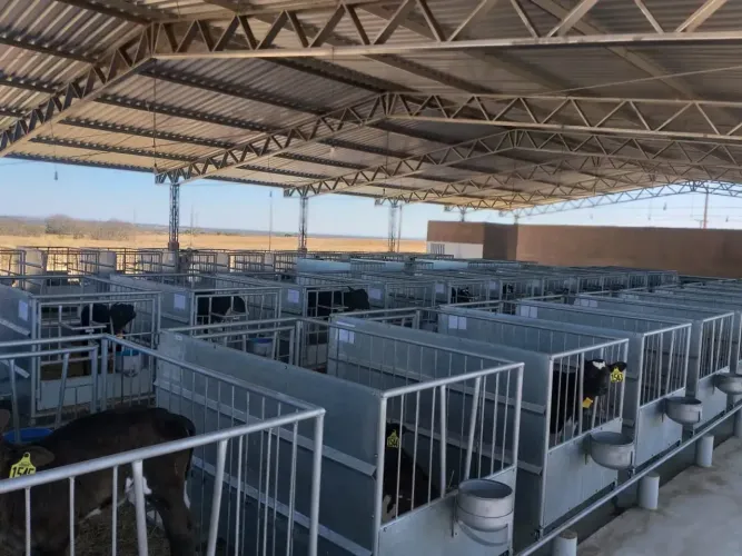FAZENDA LEITEIRA DE ALTÍSSIMO NÍVEL À VENDA EM MINAS GERAIS  COM LATICÍNIO EM FASE FINAL D