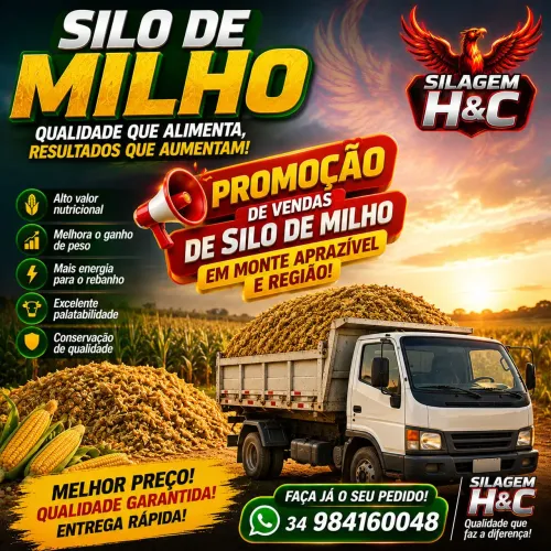 Silo de milho verde