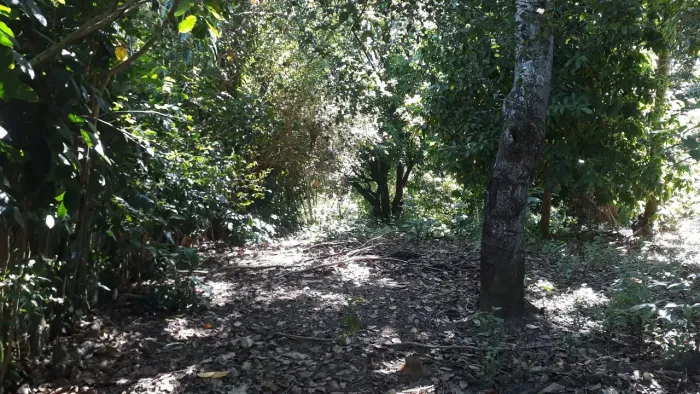 Vende-se sítio em Valéria 