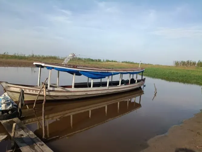 Bajara Motor 18 hp yanmar