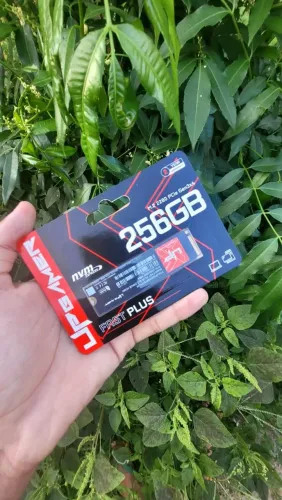 Ssd nvme m.2 256gb PCIe 3x4 3300/2000mb de leitura