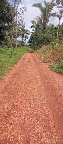 Vendo uma chácara no tamanho de 6 lotes de 10 metros de largura e 45 de comprimento!!!