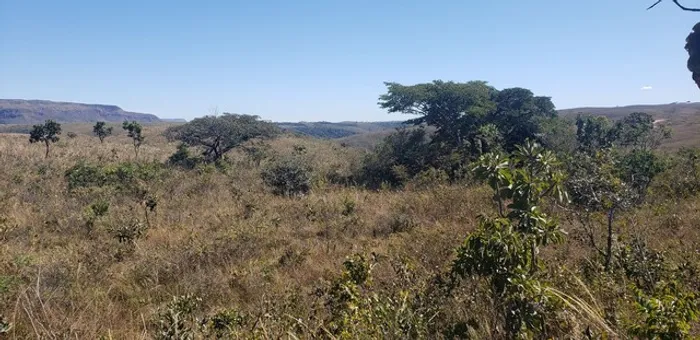 176 hectares, por 650 mil