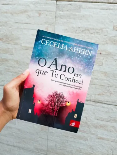 Livro, O Ano Em Que Te Conheci