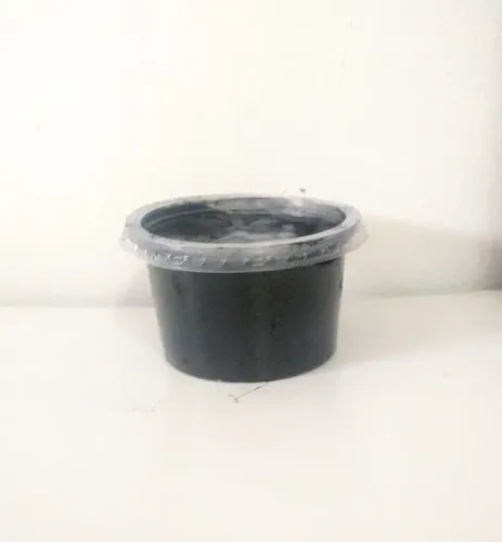 Carvão Ativado 100g