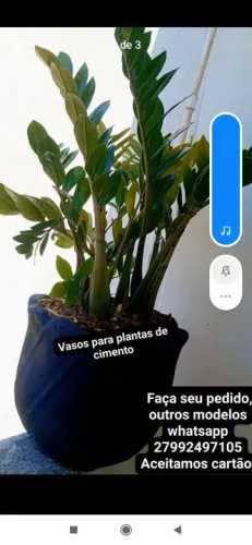Vasos de Cimento para Plantas