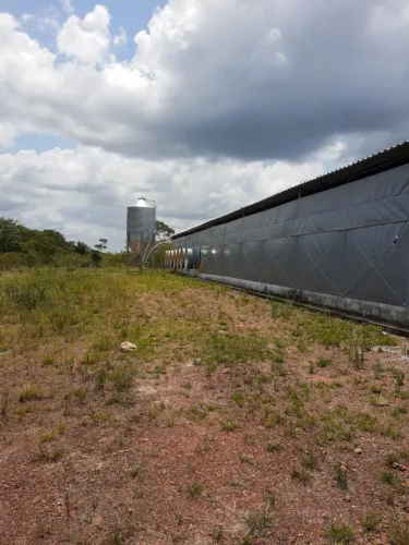 Vendo Propriedade Rural *.Granja em Pleno Funcionamento .