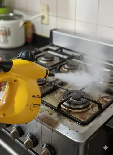 VAPOR  EXPRESS HIGIENIZADOR BRITÂNIA 