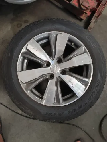 Roda da felicidade Peugeot 