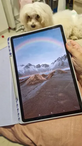 Samsung Galaxy Tab S7 Fe