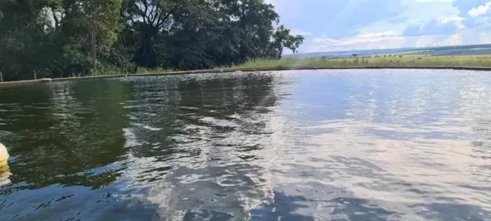 FAZENDA COM 551HA COM RIO NA PROPRIEDADE EM RIO VERDE