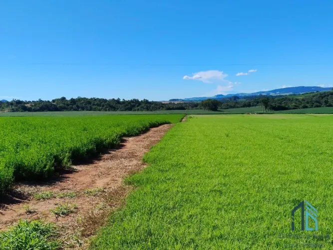 FAZENDA A VENDA 305 HECTARES OU 126 ALQUEIRES, EM CANDIDO DE ABREU - PR