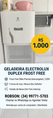 Geladeira FROSFREE 220V