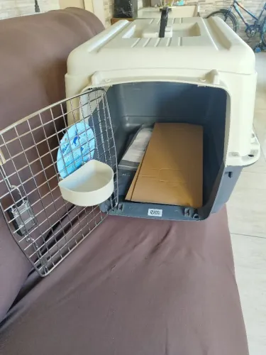 Caixa de transporte pet