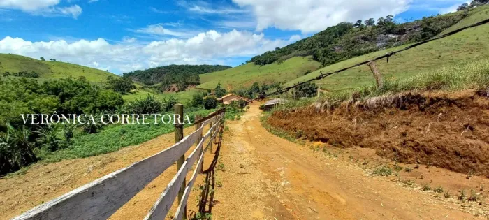 Fazenda venda em São João Nepomuceno MG. 100 hectares