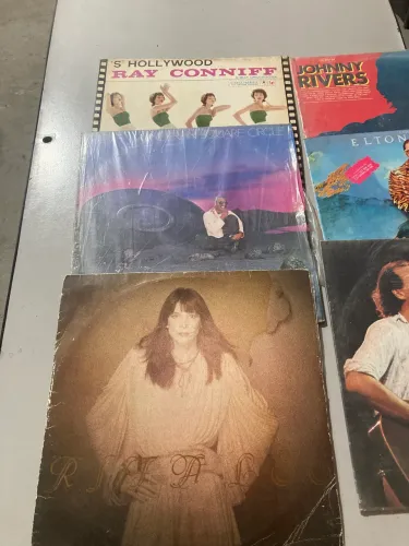 Vinil ( LPs )