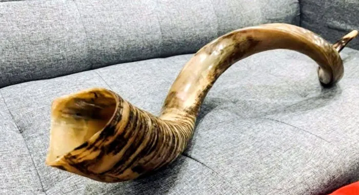 Vendo Shofar de antílope 