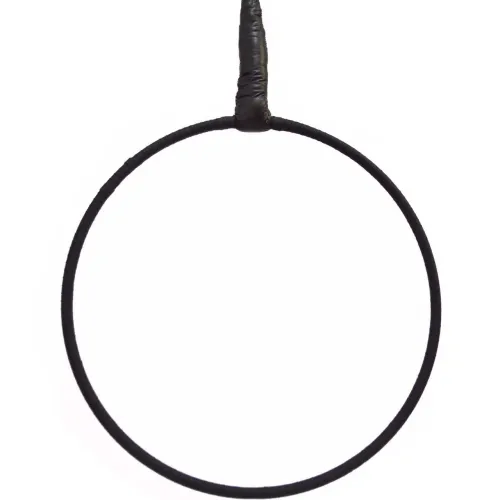 Lira circense