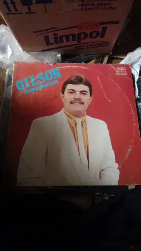 Disco de Vinil 