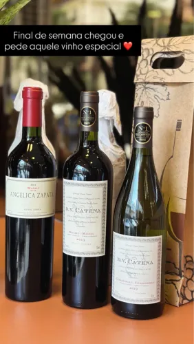 VINHOS DV CATENA E ANGÉLICA ZAPATA