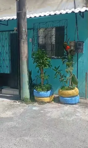 Alugo Kitnet em São Caetano
