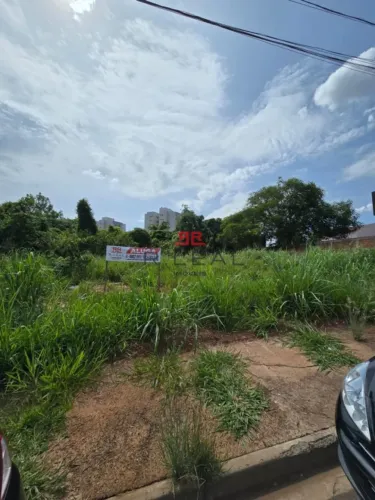 Terreno para Locação na Vila Aviação