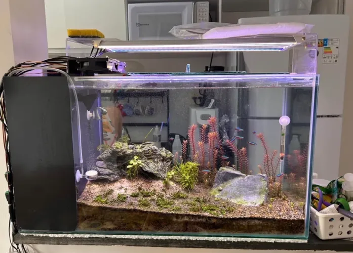 Aquario 90l