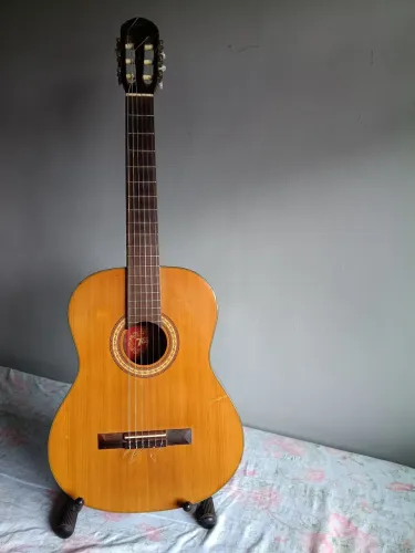 Violão Tagima Ipanema