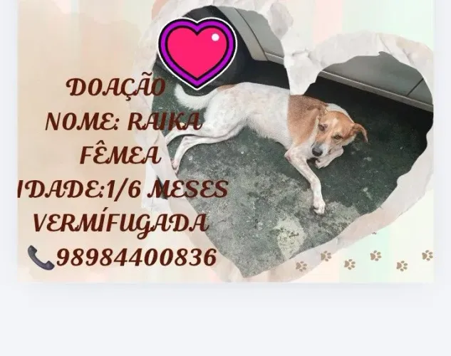 DOAÇÃO 