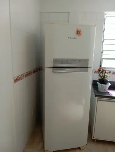 Geladeira Frostfree Duplex Electrolux DF50 - 220v