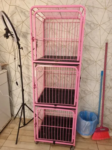 Canil semi novo