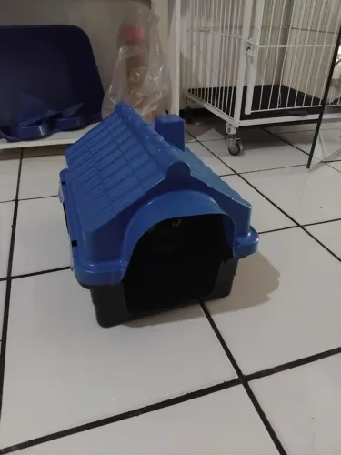 Casinha para gato