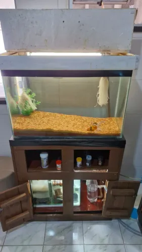Aquário 140L COMPLETO