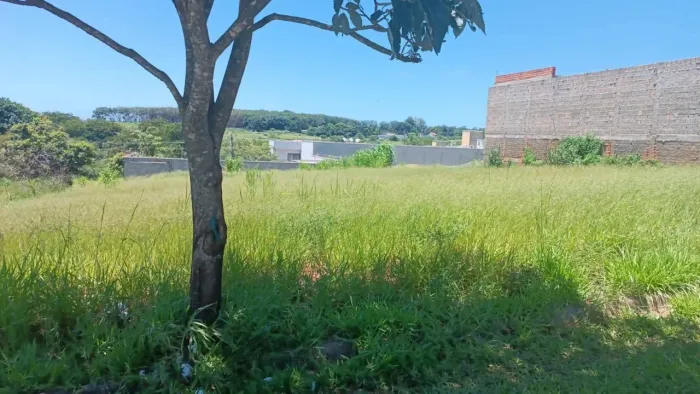 VENDA DE CHÁCARA