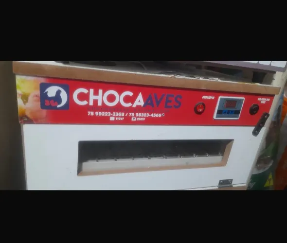 Chocadeira 220V