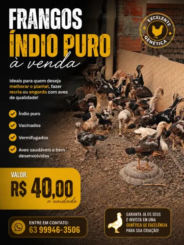 Índio gigante