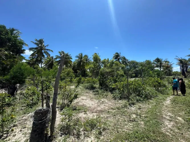 lotes disponíveis em lagoa redonda