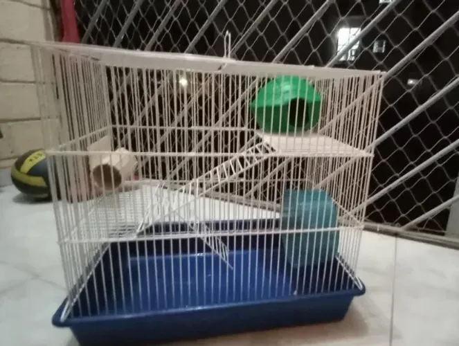 Gaiola para Hamster