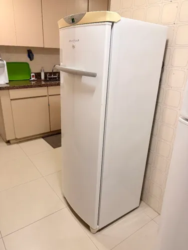 Freezer/Geladeira Brastemp Flex frost free 110 V