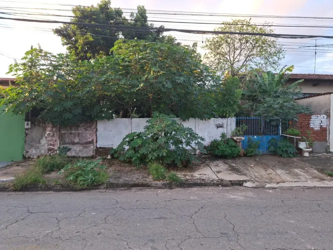 Lote - Jardim América